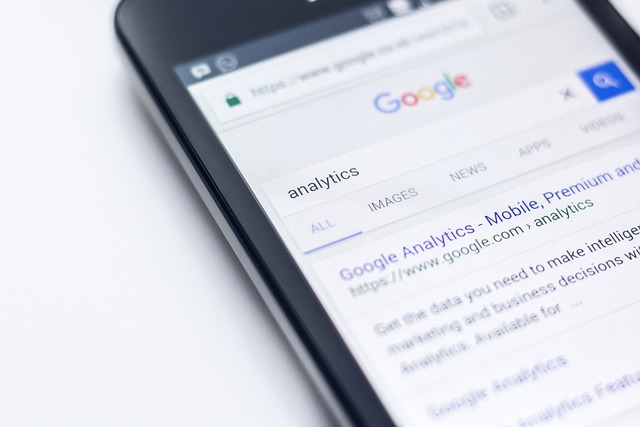 SEO wordpress